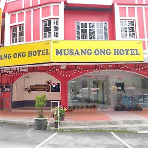 Musang Ong Hotel